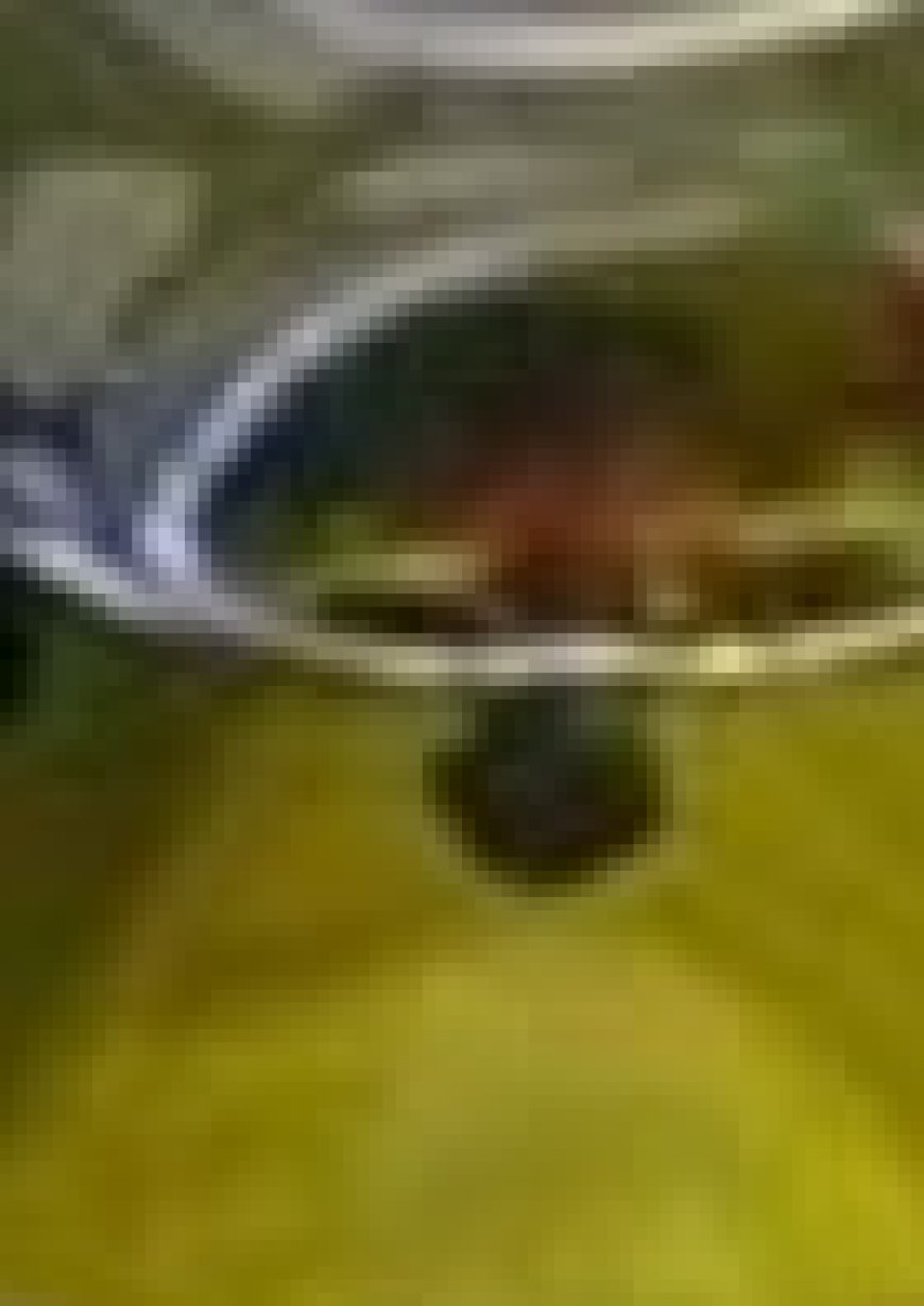 The Oil That May Help Remove Uric Acid, Ease Anxiety, Support Joints, and Reduce Cravings