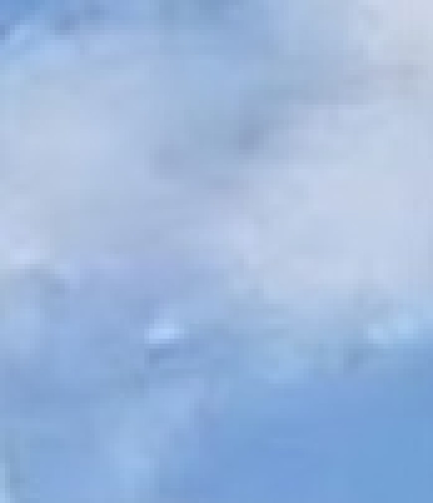 What Do You See: A Fish or a Plane?