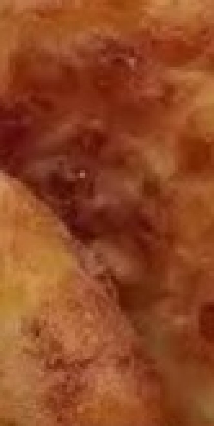 Perfectly Crispy Potato Fritters Recipe
