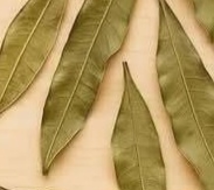 Incredible The Tea That Improves Vision Controls Diabetes and Lowers Cholesterol