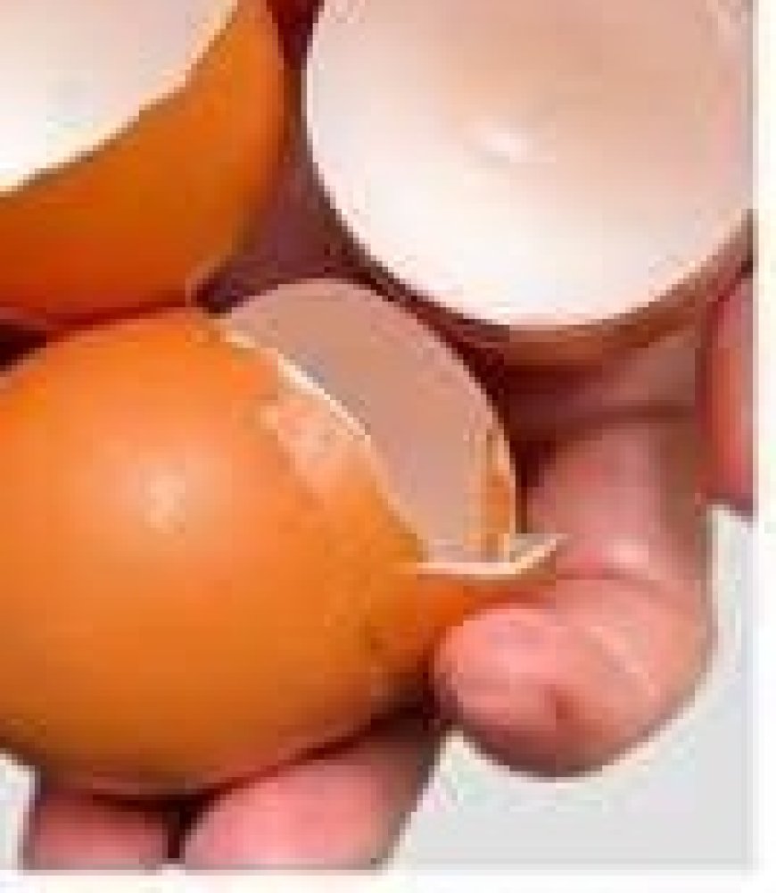 Transform Your Smile: Naturally Whiten Teeth and Remove Tartar with Eggshells!