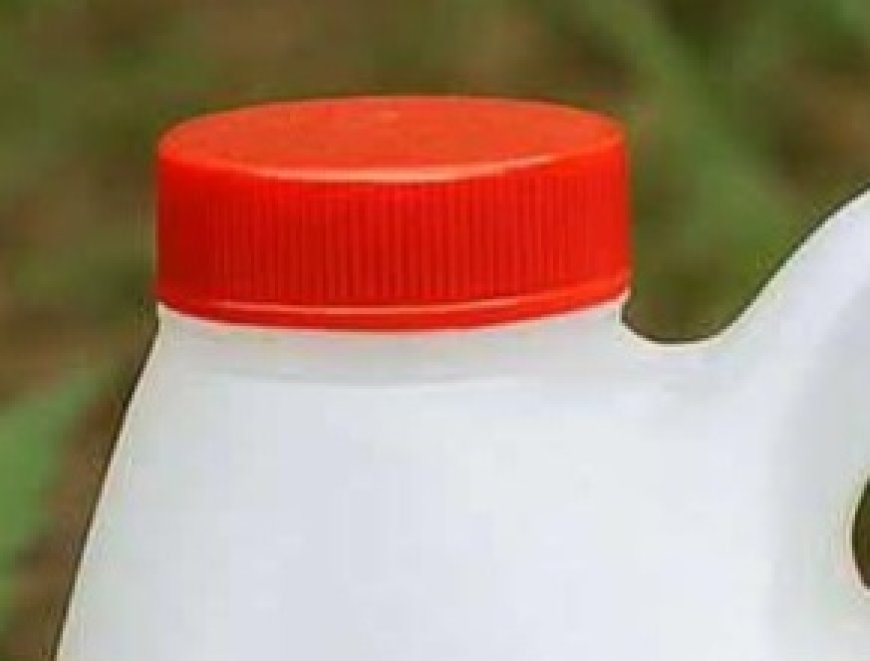 A Time-Tested DIY Solution for a Chemical-Free Garden