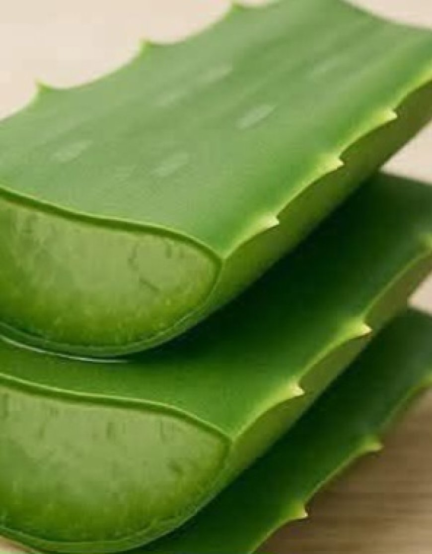 Naturally Youthful: Aloe Vera and Castor Oil Skincare Secret