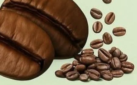 Natural Hair Growth & Anti-Grey Tonic