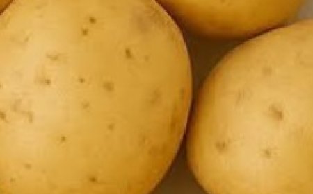 Transform Your Hair Care Routine with Potato Juice