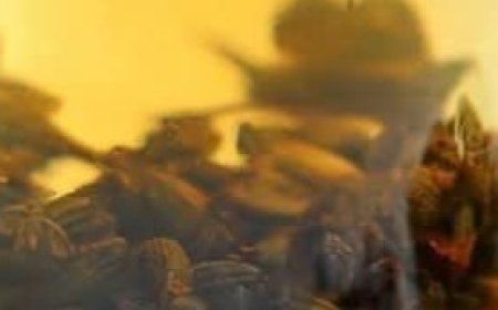 Castor oil And Seed Oil Recipe