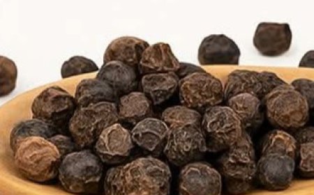 The oil renowned for eliminating uric acid from the bloodstream, alleviating anxiety, chronic arthritis, rheumatism, and reducing cravings for cigarettes and alcohol.