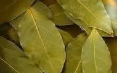 DIY Bay Leaf Skin Treatment