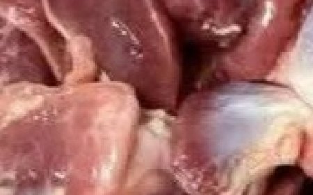 Power-Packed Chicken Gizzards