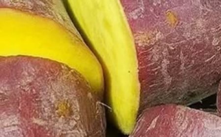 7 Science-Backed Health Benefits of Sweet Potatoes (And How to Enjoy Them)