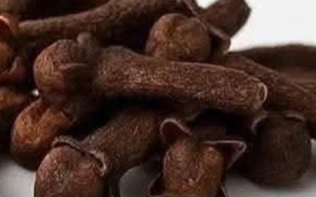 Clove: The Aromatic Superfood Your Health Will Love
