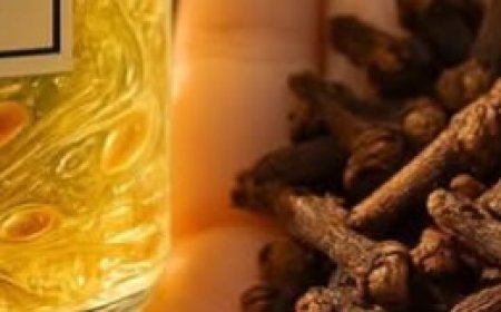 Clove Wrinkle Eraser Serum: No Wrinkles, Glowing Skin