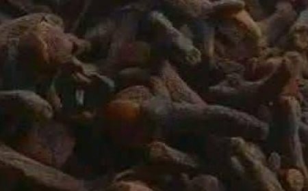 Flower Power: 8 Benefits of Cloves You Probably Didn’t Know About