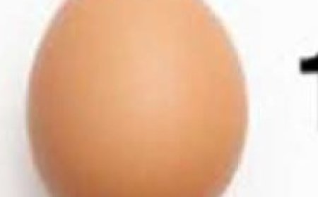 14 egg shell tricks every gardener gets wrong