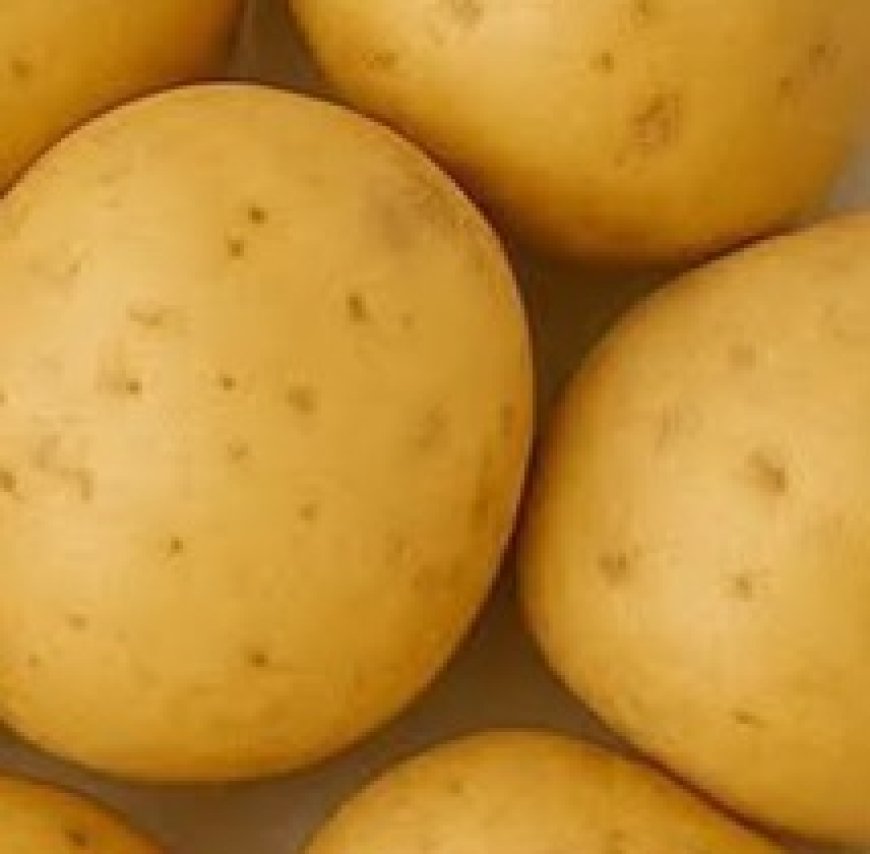 Transform Your Hair Care Routine with Potato Juice