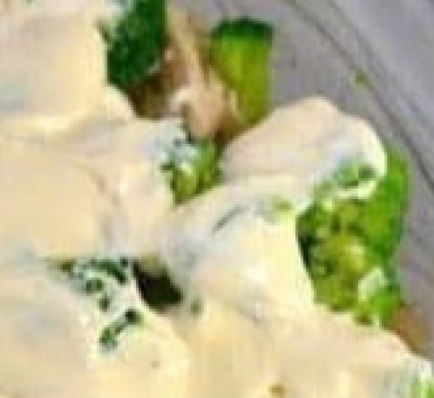 Company Chicken Casserole: The Ultimate Crowd-Pleasing Comfort Dish