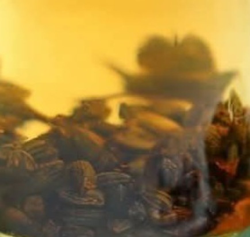 Castor oil And Seed Oil Recipe