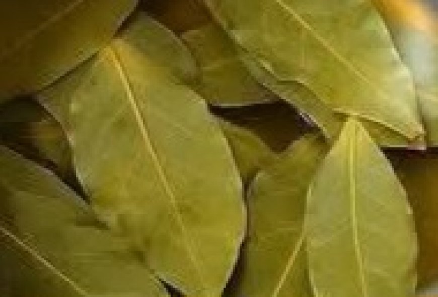 DIY Bay Leaf Skin Treatment