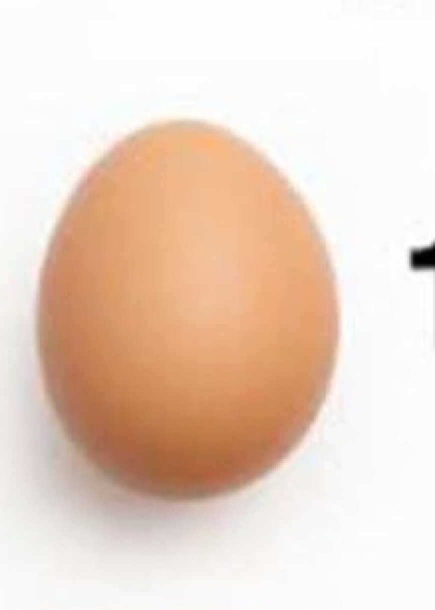 14 egg shell tricks every gardener gets wrong