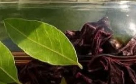 Indian Hair Growth Oil Recipe That Actually Works – 2 Inches in 1 Month