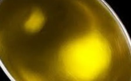 Creamy Banana Dessert: A no-bake recipe with just a few ingredients that will win over the whole family