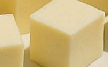 Cheese at Home with Vinegar