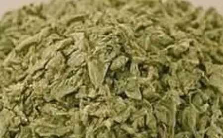 Sage: A Natural Remedy for Brain Health, Inflammation, and Joint Pain