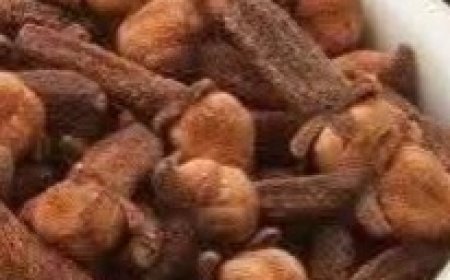 11 Incredible Clove Benefits Every Woman Should Know