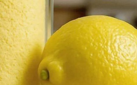 Making lemon powder is very easy: