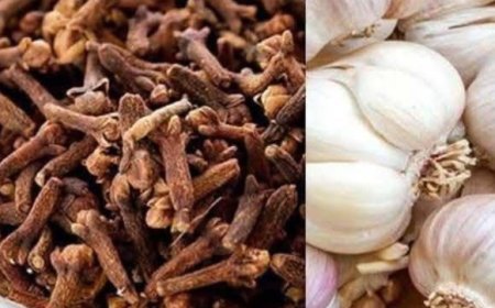 Daily Clove Chewing Benefits: A Simple Habit for a Stronger, Healthier You