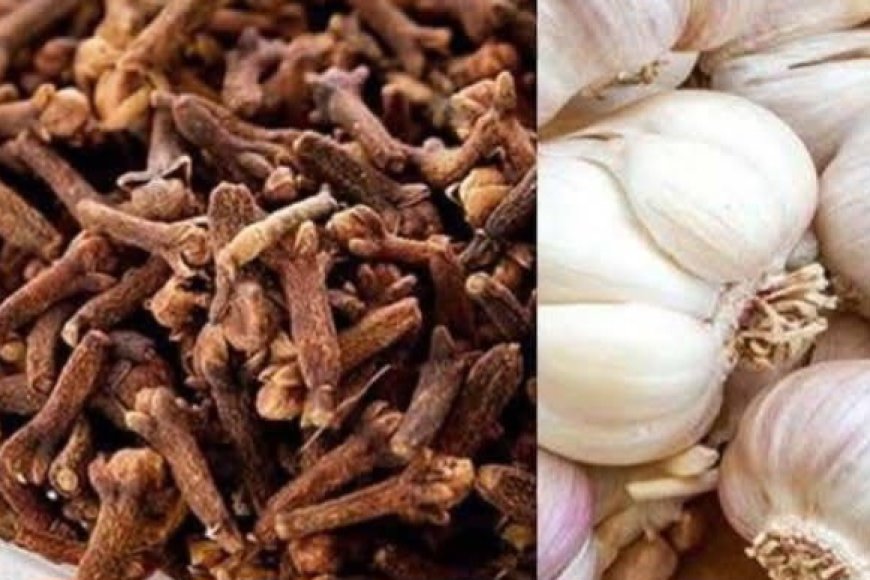 Daily Clove Chewing Benefits: A Simple Habit for a Stronger, Healthier You