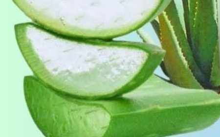 Aloe Vera with Cinnamon: The Home Remedy That Protects Your Health and Vision