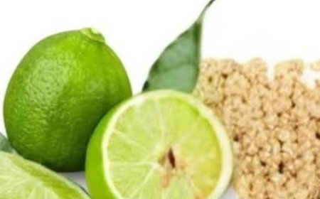 Oat Water with Lemon: The Natural Drink for Weight Loss and Energy