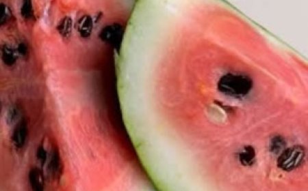 What Happens to Your Body When You Drink Watermelon Seed Tea for 7 Days — Plus the Recipe!