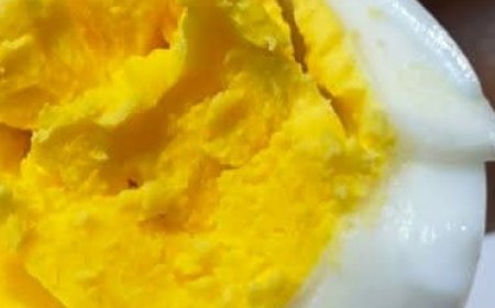 Everything You Need to Know About Eating Eggs Daily