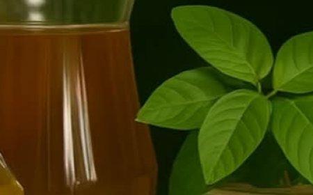 ! ???? How to Use Guava for Eye Care: Natural Remedies That May Surprise You