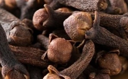 Holding Cloves in Your Mouth: A Natural Way to Relieve Toothache