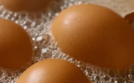 Don’t throw them away anymore: How to use eggshells for your health and your plants
