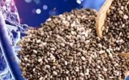 Cancer HATES These 6 Seeds – Seniors, Eat Them Daily (FIGHT Cancer Naturally)