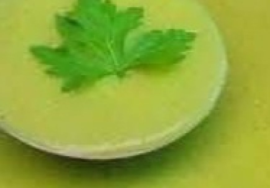 Slim Down With Delicious Celery Soup