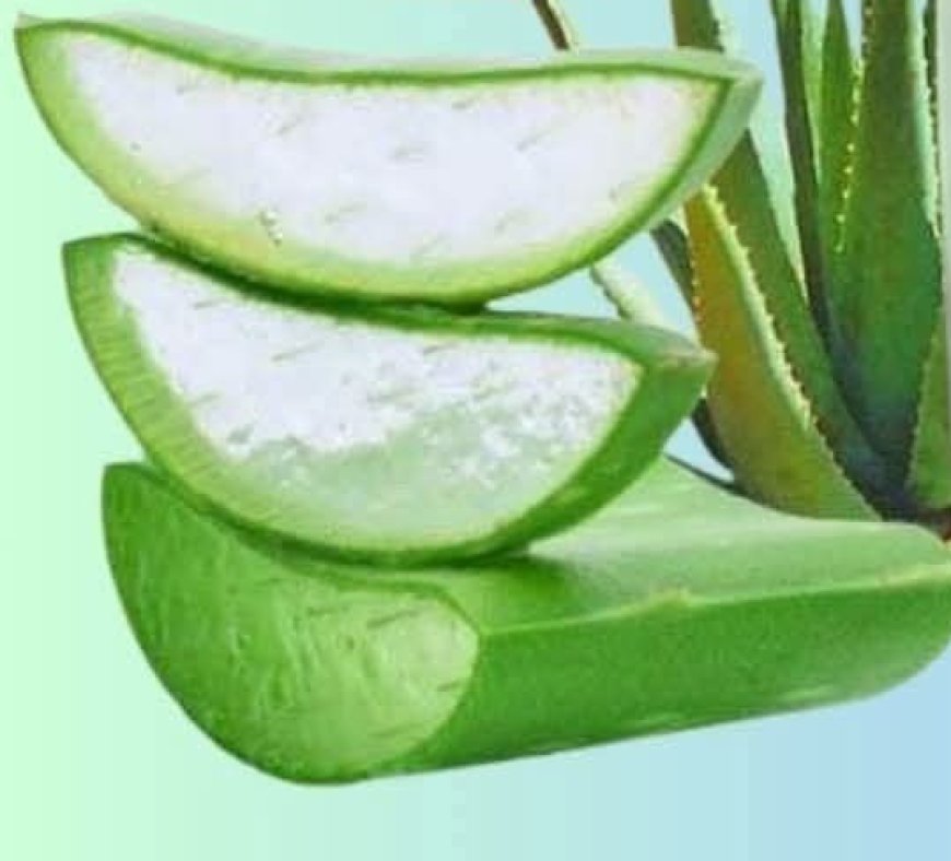 Aloe Vera with Cinnamon: The Home Remedy That Protects Your Health and Vision