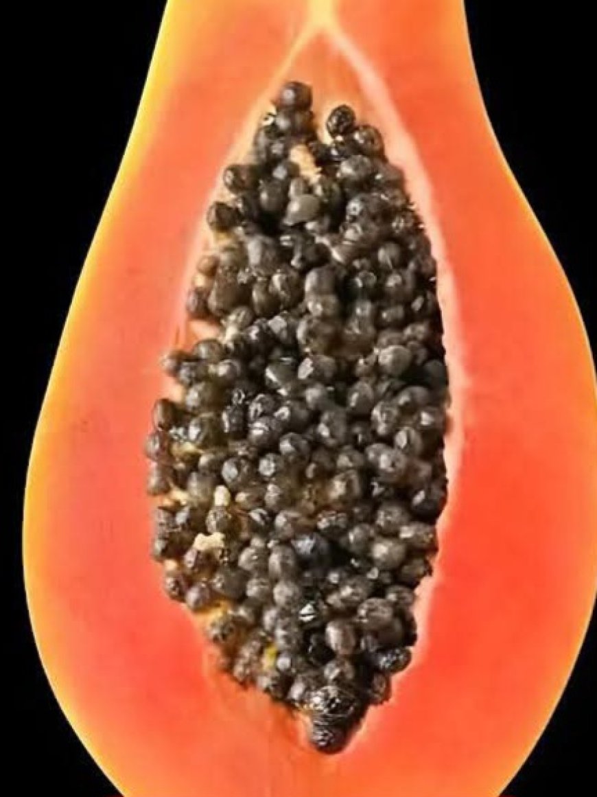 Papaya Seeds: The Natural Remedy Few Know About