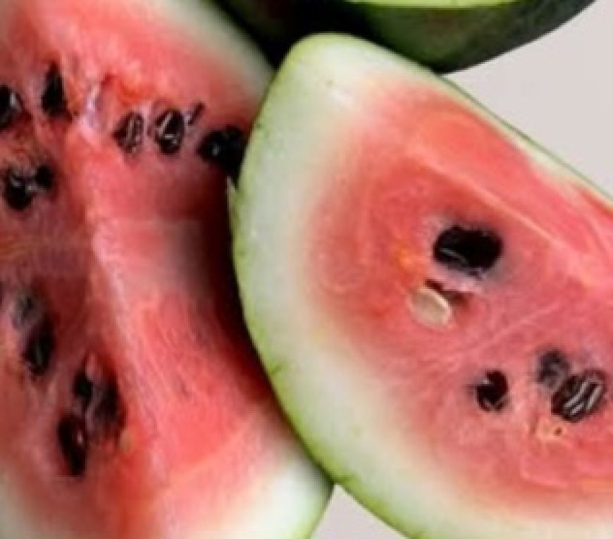 What Happens to Your Body When You Drink Watermelon Seed Tea for 7 Days — Plus the Recipe!