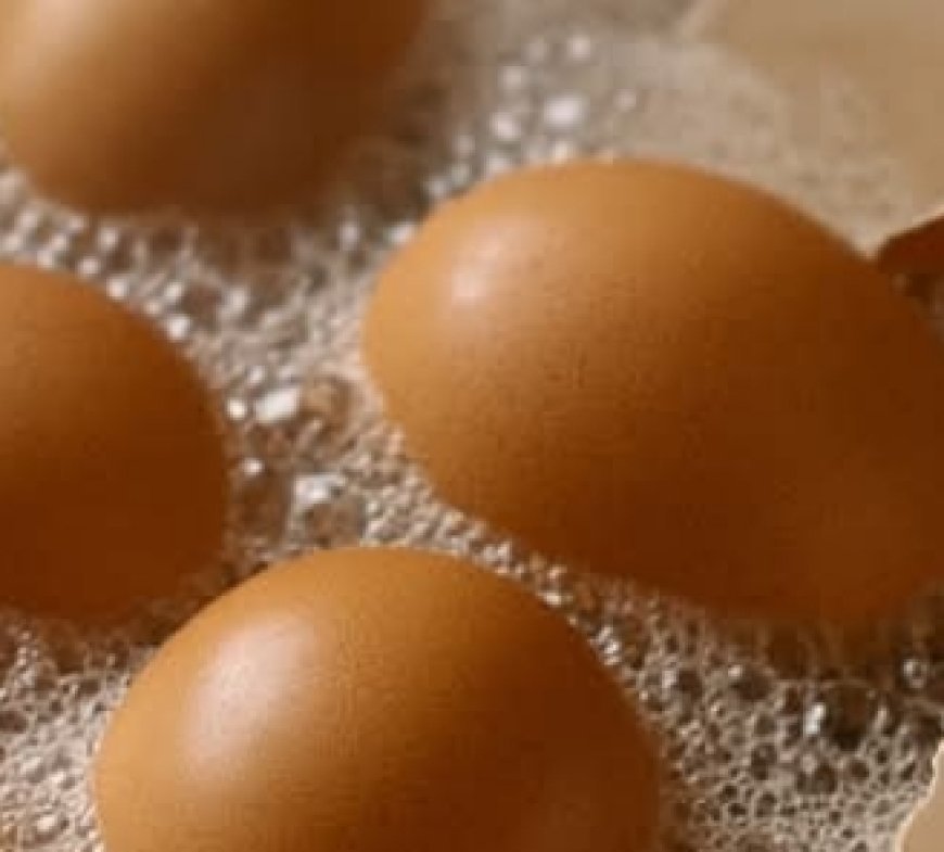 Don’t throw them away anymore: How to use eggshells for your health and your plants