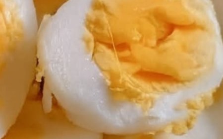 Everything You Need to Know About Eating Eggs Daily