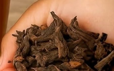 Ginger, Lemon, and Honey Drink: The Natural Elixir That Revitalizes Body and Mind