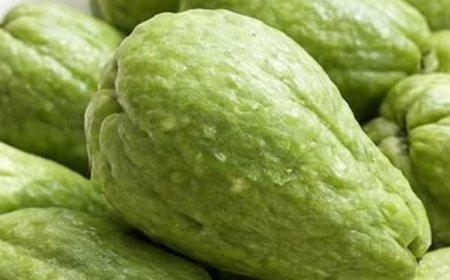 Discover Chayote: The Humble Green Squash That Naturally Transforms Your Health