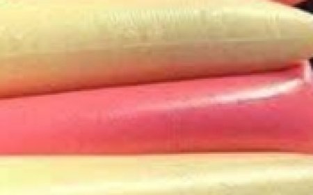 Creamy and Refreshing Dessert: Simple to Make with Various Flavors-A Delighti.