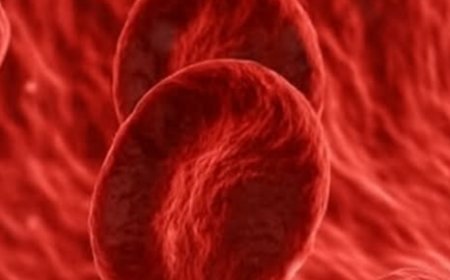 Can Your Blood Type Influence How You Age? Here’s What Science Knows So Far