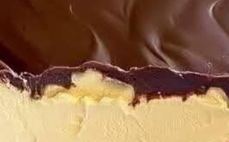 No-Bake Chocolate Eclair Cake